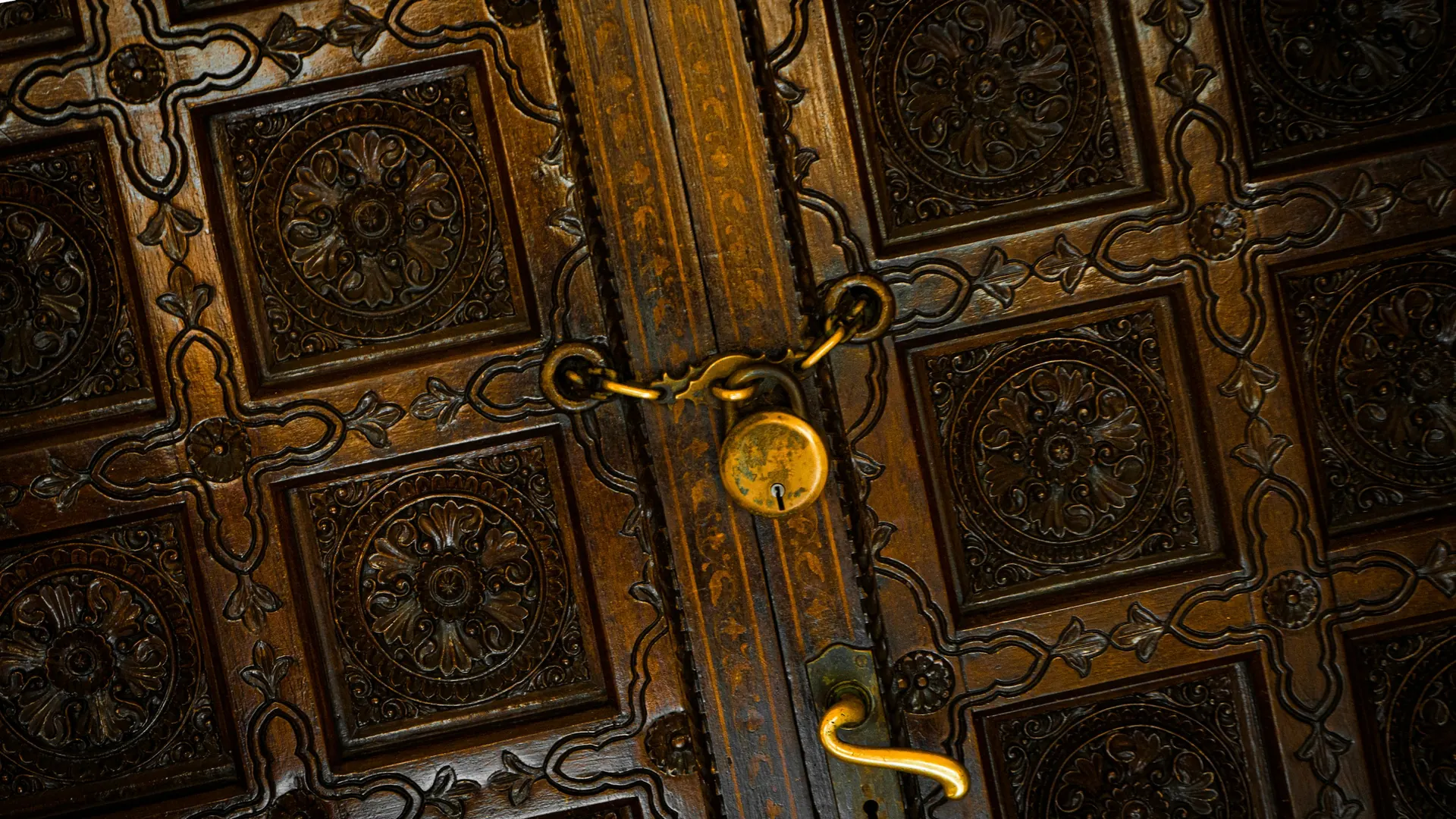 A brass-colored padlock secures carved wooden double doors. A curved handle sits below.