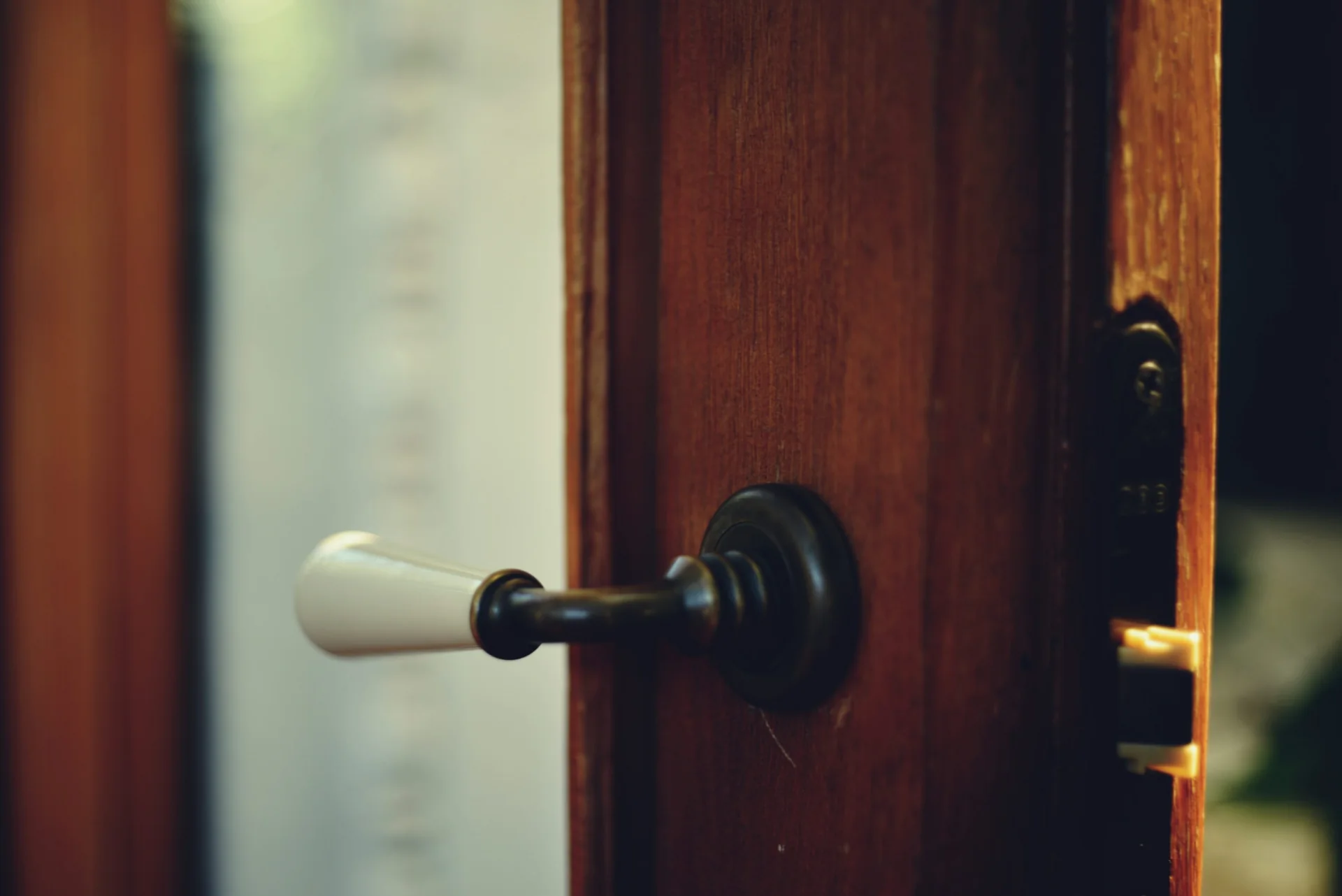 White lever handle and metal edge plate on an open wooden door